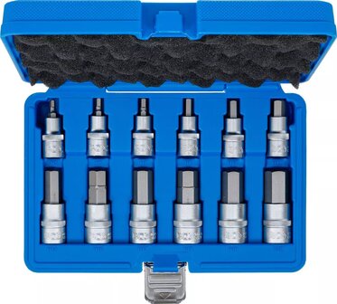 Bgs Technic Bit doppenset 12,5 mm (1/2) schijf interne zeshoek 12-delig