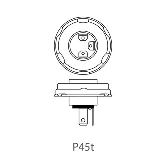 Autolamp 12V 45/40W P45t in doosje x10 stuks