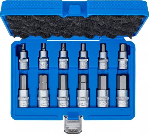 Bgs Technic Bit doppenset 12,5 mm (1/2) schijf interne zeshoek 12-delig