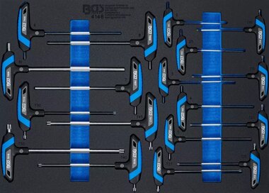 Gereedschapmodule 3/3: schroevendraaierset met T-greep binnenzeskant, T-profiel (voor Torx) 18-dlg